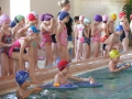 DSCF0379