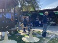 IMG_5462