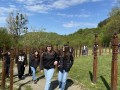 IMG_5572