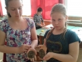 dombormuvek