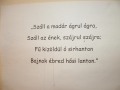 aDSCF0238.JPG