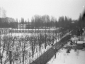 MartfuiKepek134