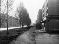 MartfuiKepek145