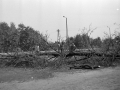 MartfuiKepek149