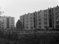 MartfuiKepek21