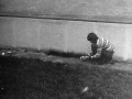 MartfuiKepek39
