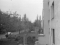 MartfuiKepek41
