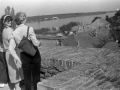 MartfuiKepek56