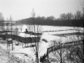 MartfuiKepek66