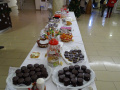 batch_DSC08111