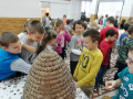 IMG_20191115_082344
