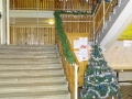 DSC00342