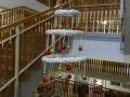 batch_DSC05849
