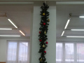 batch_DSC05866