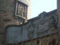 DSCF0606215