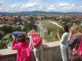 DSCF0742293