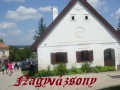 DSCF1005334