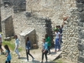 DSCF1013342