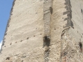 DSCF1022350