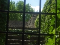 DSCF1025352