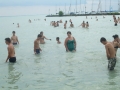 DSCF1215