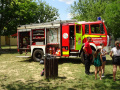 batch_DSC06753