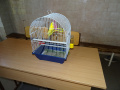 batch_DSC06757