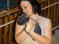 batch_DSC06759