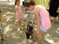 batch_DSC06763