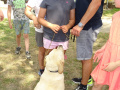 batch_DSC06771