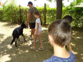 batch_DSC06773