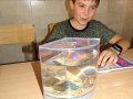batch_DSC06780