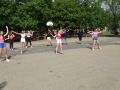 batch_DSC06885