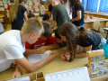 batch_DSC06920