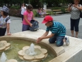 DSCF1646