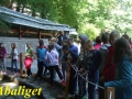 DSCF1654