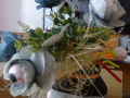batch_DSC01140