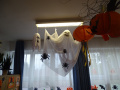 batch_DSC01206