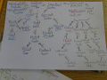 batch_DSC05778