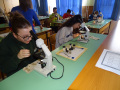 batch_DSC08721