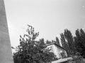 1983_Repulo_08