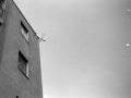 1983_Repulo_15