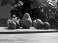 1983_Repulo_16