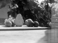 1983_Repulo_20