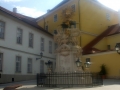 DSCF2145
