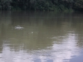 DSCF9125