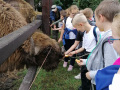 IMG_20210928_111929