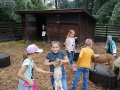 IMG_20210928_113357