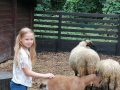 IMG_20210928_113426