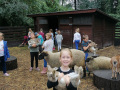 IMG_20210928_113913